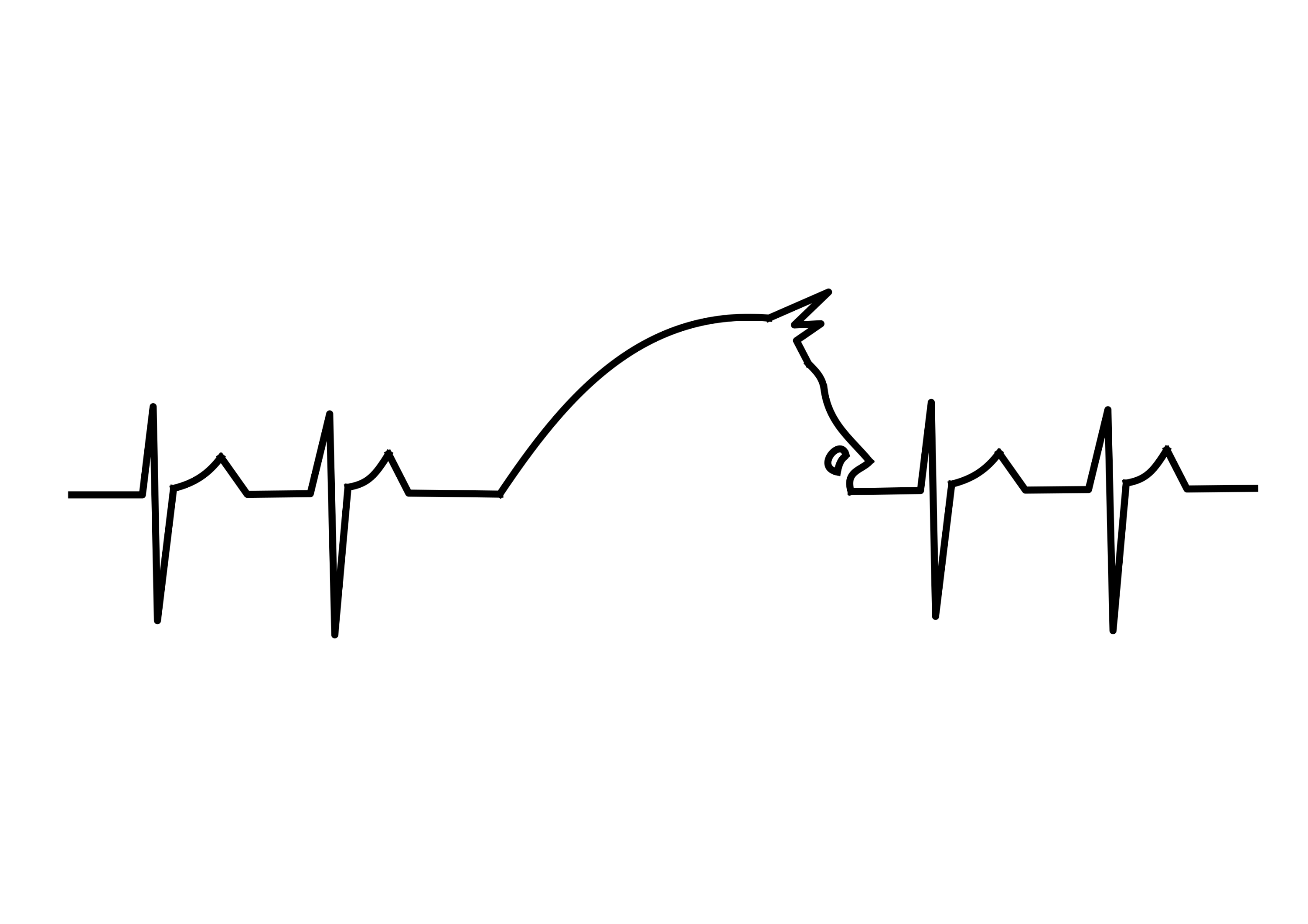 LA BALZANE SPRL