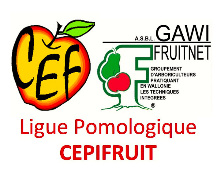 CEPIFRUIT ASBL